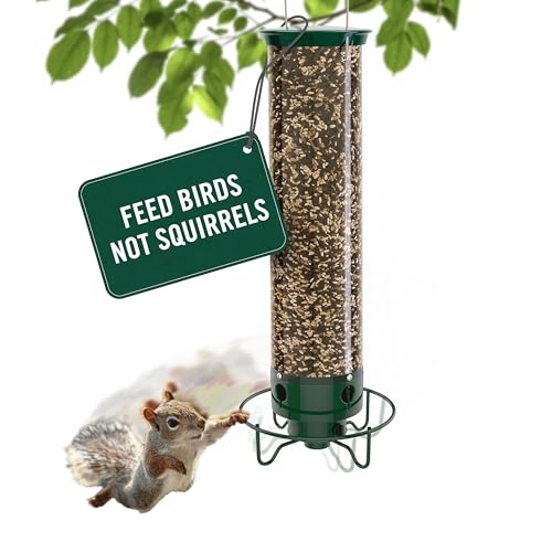 Droll Yankees Squirrel Proof Bird Feeder for Outdoors, 5 lb Seed Capacity