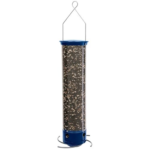Droll Yankees Whipper Squirrel-Proof Bird Feeder for Outdoors